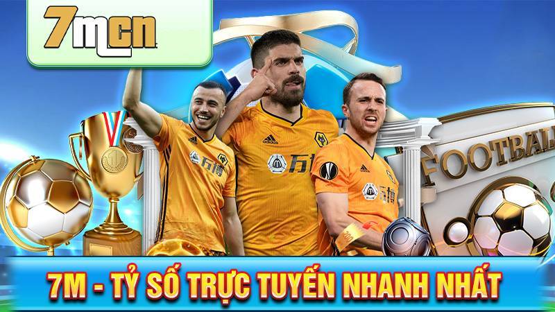 Lịch sử hình thành và phát triển