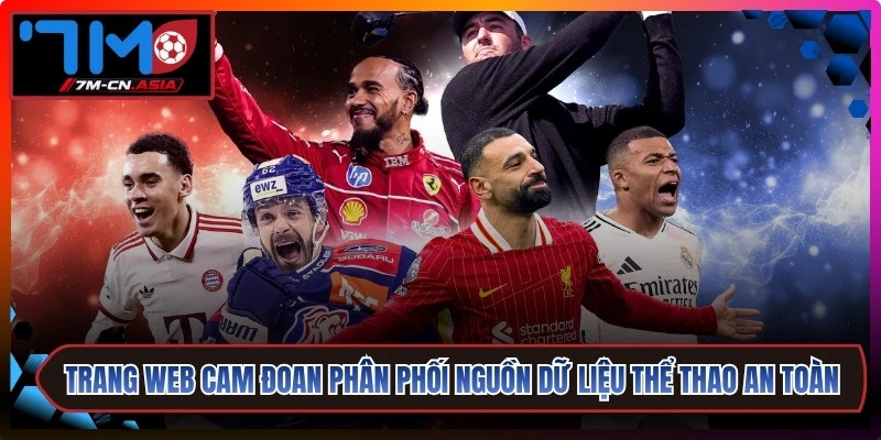 Trang web cam đoan phân phối nguồn dữ liệu thể thao online an toàn